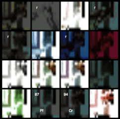 nls6